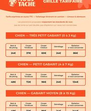 MOUSTACHE Toilettage image 1