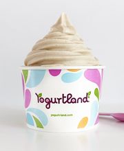 Yogurtland San Jose image 10
