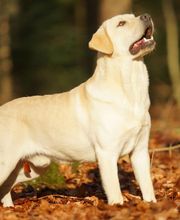 Tanja Wiedenmann Bild 4