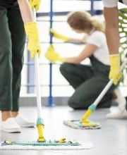 Servicios Mibeyo imagen 7