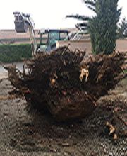 TP des Collines image 7