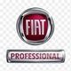 Fiat Professional Autohaus Mayr GmbH