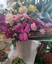 Gorieu Viviane image 6