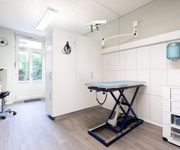 Kleintierpraxis 54 Bild 6