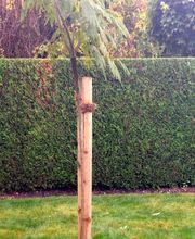 Sven Jöcks Haus und Gartenservice Bild 3