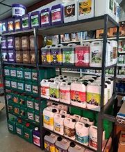 Jungle Paradise image 5