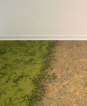 Belsol-Mitterer SA Bild 13