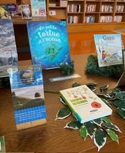 Bibliothèque municipale Bild 7