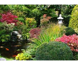 Andre Sauer Garten- und Landschaftsbau Bild 3