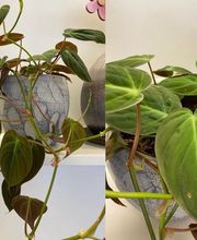 Chiara's Creative Factory GmbH Bild 9