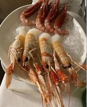 Marco Polo RISTORANTE Bild 6