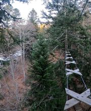 Lioran Aventure La Hutte Perchee SARL image 5