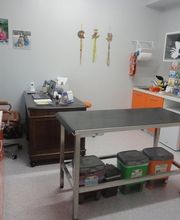 Gallery Cliente