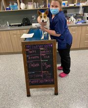 Bedford Oaks Family Vet image 5