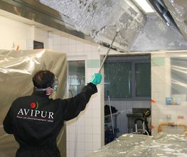 Avipur image 7