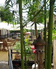 RESTAURANT LE PHA image 3