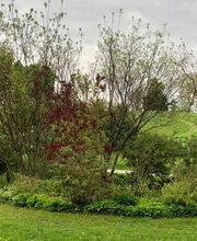 Kämpf Service Bild 1