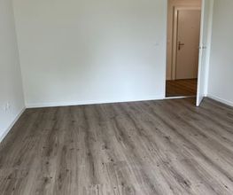 Maag AG Bodenbeläge + Malergeschäft Bild 3