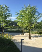 Salathé Rentzel Gartenkultur AG Bild 3