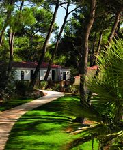 Camping Résidentiel La Pinède image 7