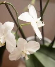 smartART cosmetics Bild 4