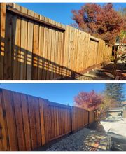 DM Quality Painting image 5