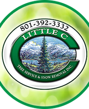 Little C Tree Service image 8
