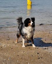 Taxi Guigui à Epaignes image 3