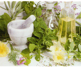 Naturheilpraxis Doris Goerig Bild 5