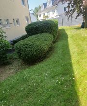 Ch-Clean - Gebäudereinigung & Objektservice Bild 14