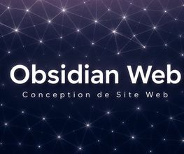Obsidian Web image 5