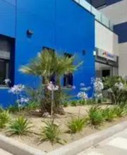 Residencia de mayores Amavir Vicálvaro imagen 6