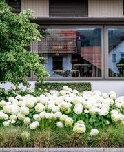 Somandin GmbH Bild 2