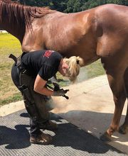 Champeaux Élodie marechal ferrant 27 eure image 4