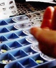 Thalmann Stamm Sabine image 17