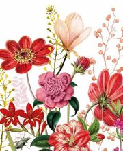 Paperproduktdesign Servietten