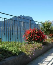 AMREIN ZÄUNE AG Bild 5