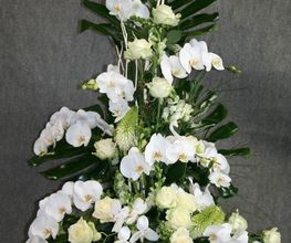 Fanny Fleurs image 11