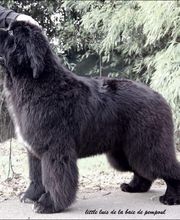 Sandrine Le Rest image 9