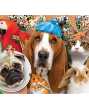 Harvey Animal Hospital image 10