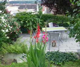 Weber Felix Bild 4