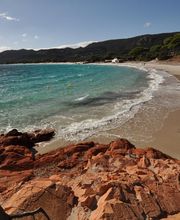 turchinu macchia bleu maquis locations saisonnières image 14