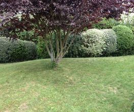 Jardins Et Maisons image 12