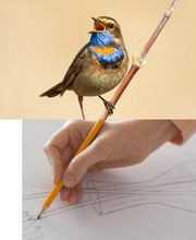 Verein Volkshochschule für die Stadt und Region Bern Bild 9