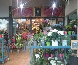 Fleurs et Fleurs image 2