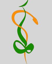 Souriau Alexis image 3