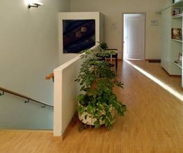 Physio im Telli Bild 8