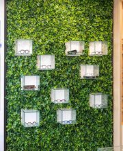 Optique Saint Pierre SAS image 1