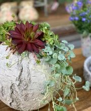 Les Fleuridées Bild 4