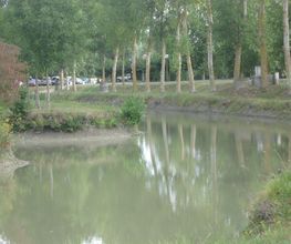Camping des Conches image 1
